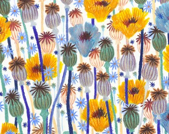 A6 illustrated flower postcard - Poppies (coloured pencils)