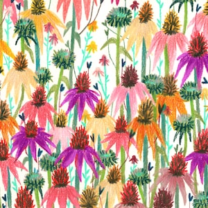 Cartolina floreale illustrata A6 - Coneflowers (matite colorate)
