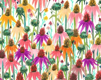 A6 illustrated flower postcard - Coneflowers (coloured pencils)