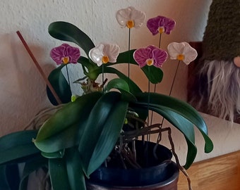 Orchidee aus Keramik