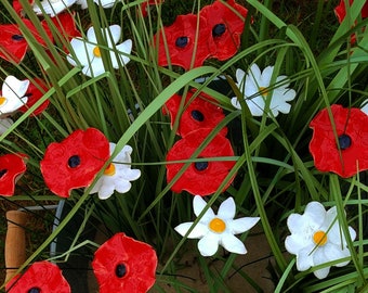 10 Stück Mohn und Margerite