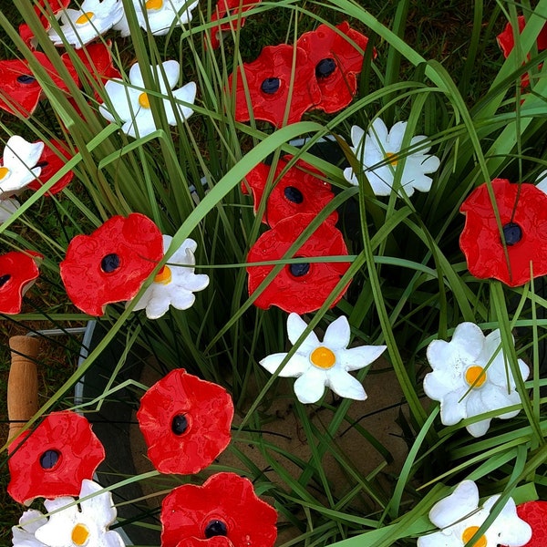 10 Stück Mohn und Margerite