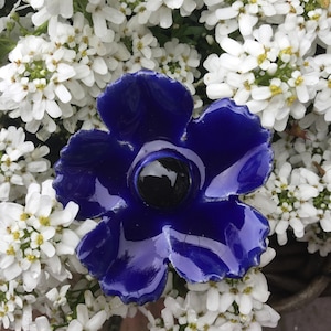 Puede incluir: Una flor de cerámica azul con un centro negro, rodeada de flores blancas.