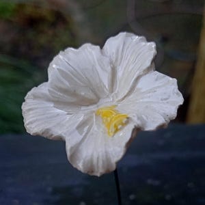 Könnte beinhalten: Eine weiße Keramikblume mit gelber Mitte. Die Blume befindet sich auf einem schwarzen Hintergrund.