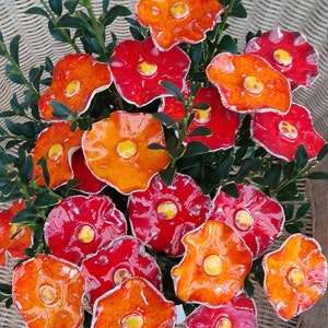 10 poppies in orange and red