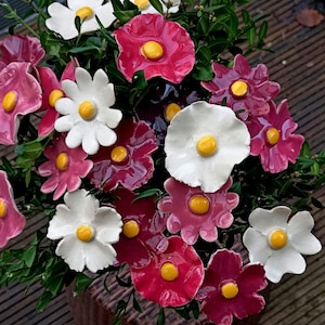 24 ceramic flowers wine red mix