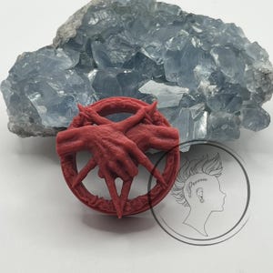 Custom Sized Pair Occult Devils Handshake Earplugs - Double Flare Ear Tunnel baphomet hands