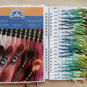 May include: A DMC embroidery floss colour chart featuring a range of colours, including blues, greens, and yellows. The chart is labelled with DMC numbers and includes the words "Mouline Special 25", "Mouline Colour Variations", and "Perle Metallise".