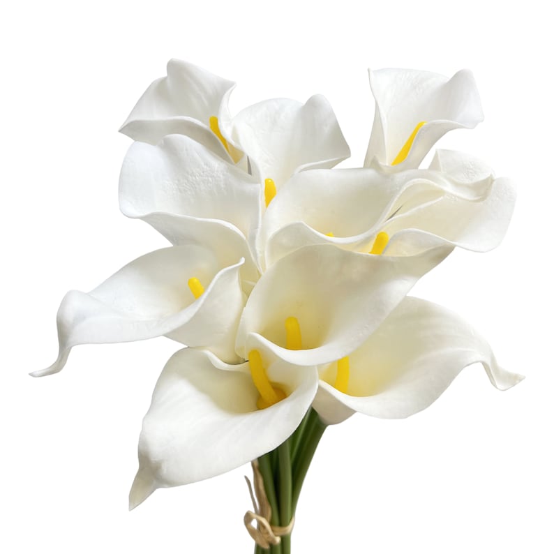May include: A bouquet of white calla lilies with bright yellow stamens. The flowers are clustered together, with green stems tied with a natural-colored twine. The petals have a smooth, waxy appearance.