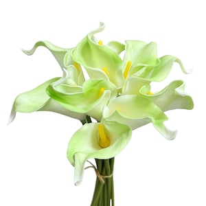 May include: A bouquet of artificial calla lilies. The flowers have a light green hue with yellow centers and white edges. The stems are green and tied together with twine. The background is plain white.