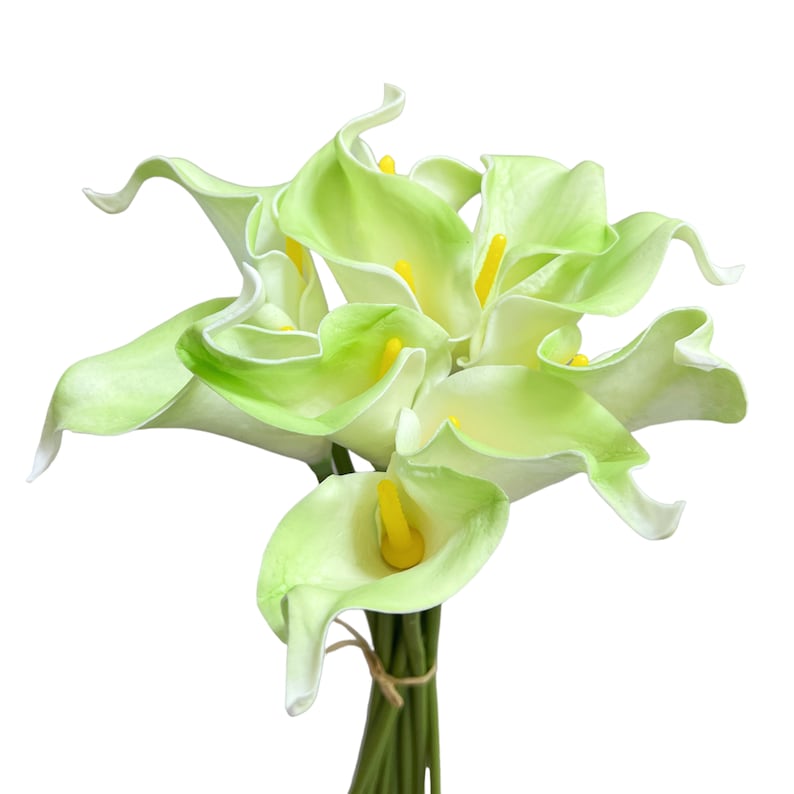 May include: A bouquet of artificial calla lilies. The flowers have a light green hue with yellow centers and white edges. The stems are green and tied together with twine. The background is plain white.