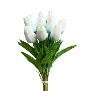 May include: A bouquet of white tulips with blue tips, tied together with a brown ribbon. The tulips have green leaves.