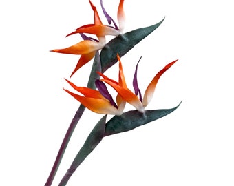 32" Artificial Bird of Paradise Duo