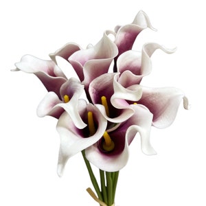 May include: A bouquet of calla lilies with white petals edged in purple. The flowers have yellow stamens and green stems tied with a light brown ribbon. The arrangement is set against a white background.