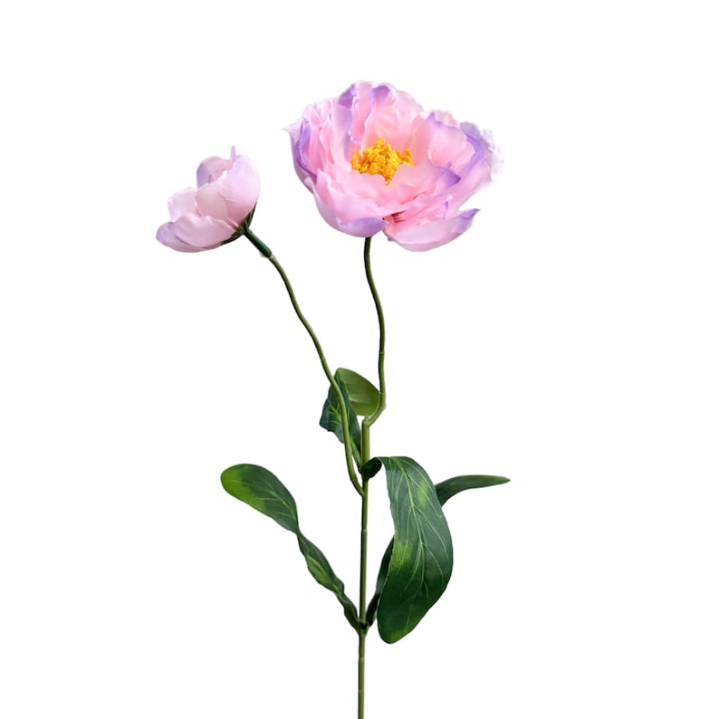 May include: A single stem of artificial flowers with two pink blossoms and green leaves. The larger blossom has a purple hue around the edges.