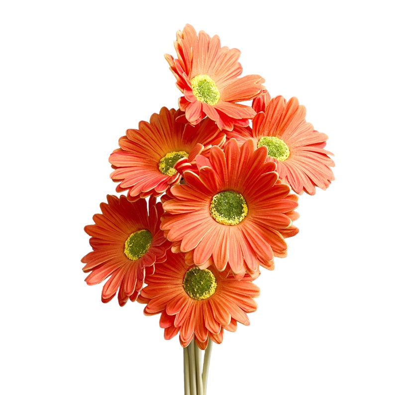 Lifelike Set of 6 Gerbera Barberton Daisy Artificial Flower Stems for Home Decoration Orange