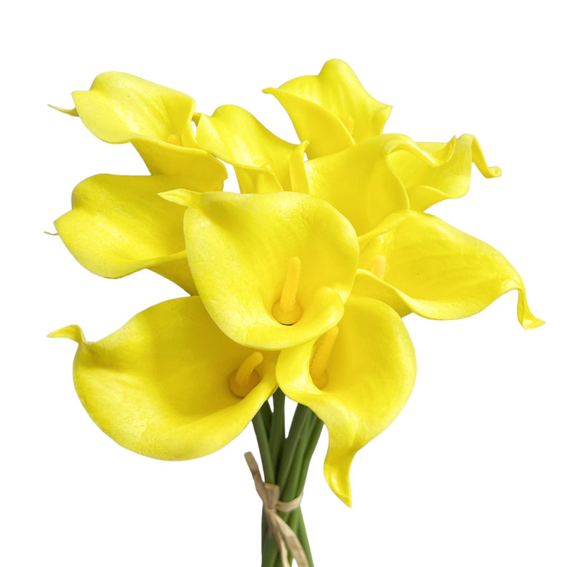 May include: A bouquet of bright yellow calla lilies. The flowers have a trumpet-like shape with a smooth texture. The stems are green and tied with twine, creating a natural and elegant look. The background is plain white.