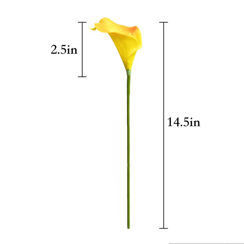 May include: A single artificial calla lily with a bright yellow bloom. The flower measures 2.5 inches across and the stem is 14.5 inches long. The stem is green, and the flower is a vibrant yellow with a touch of orange.
