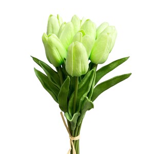 May include: A bouquet of light green artificial tulips with green leaves tied together with twine.