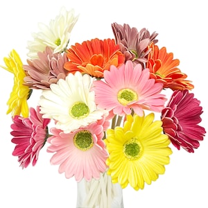 Lebensechtes Set mit 6 künstlichen Gerbera Barberton Daisy Blütenstielen für die Inneneinrichtung