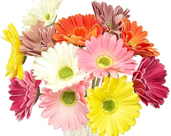 Lifelike Set of 6 Gerbera Barberton Daisy Artificial Flower Stems for Home Decoration