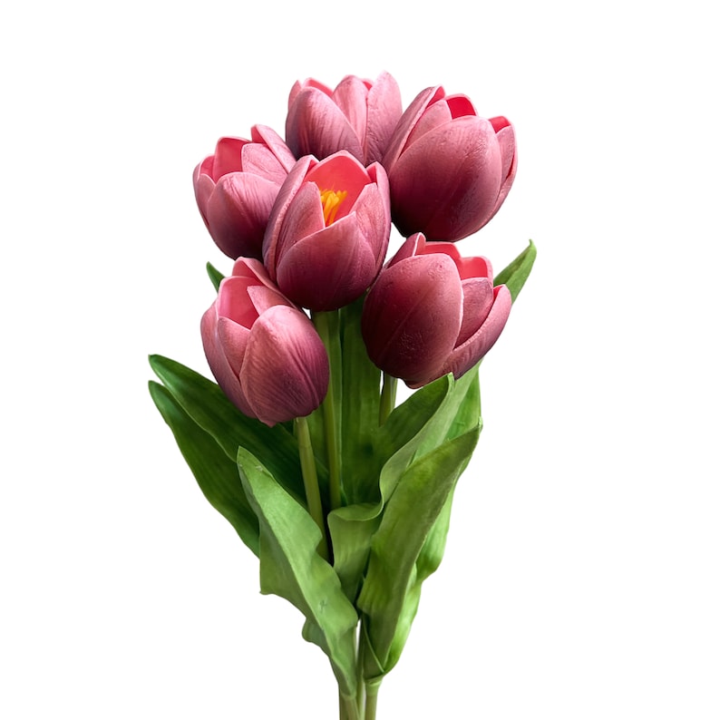 May include: A bouquet of six pink tulips with green leaves.