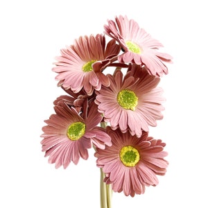 Lifelike Set of 6 Gerbera Barberton Daisy Artificial Flower Stems for Home Decoration Coral