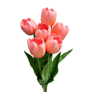 May include: A bouquet of six pink tulips with green leaves.