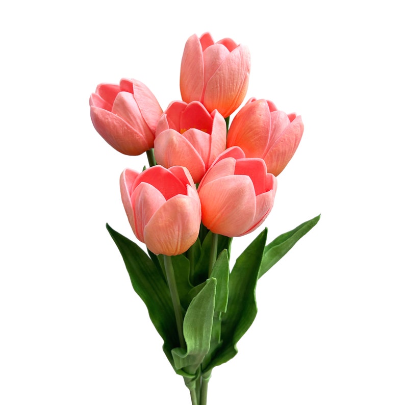 May include: A bouquet of six pink tulips with green leaves.