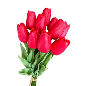 Beautiful Artificial Real Touch Tulip Flower Stems in Various Colors (Bunch of 10) Red