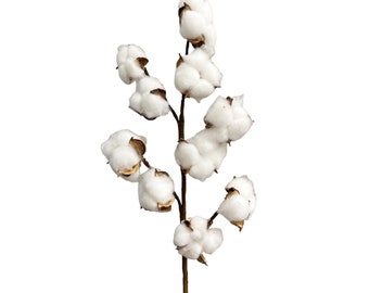 Tige de fleur de coton artificielle de 53,3 cm de haut avec 10 capsules de coton par tige, lot de 2