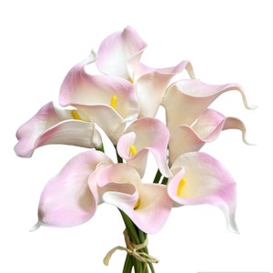 May include: A bouquet of calla lilies with white and pink petals and yellow centers. The flowers are tied together with green stems and a natural twine. The arrangement is set against a white background.