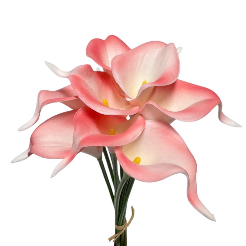 May include: A bouquet of calla lilies with pink and white petals and yellow centers. The flowers are tied together with twine and have green stems. The arrangement is set against a white background.