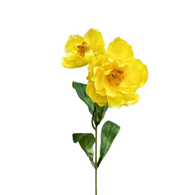 May include: A single stem of yellow silk flowers with green leaves.