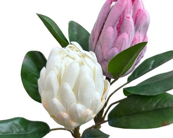 Lifelike 20" Protea Artificial Stem with 3.5" Bloom