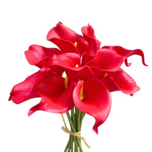 May include: A bouquet of vibrant red calla lilies with yellow centers. The flowers are tied together with green stems and a natural twine. The image is set against a clean white background.
