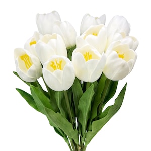 Puede incluir: Un ramo de tulipanes blancos con centros amarillos. Los tulipanes están dispuestos en un racimo con hojas verdes.
