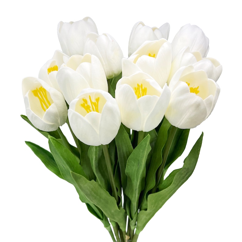 May include: A bouquet of white tulips with yellow centers. The tulips are arranged in a cluster with green leaves.