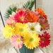 Set of 6 Real Touch Gerbera Barberton Daisy Artificial Flower Stem Home Decoration 