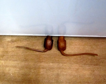 hiding mouse, heads or bums