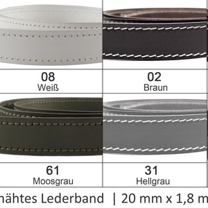 Op de afbeelding: Een selectie van 10 kleuren plat gestikte lederen banden, elk 20 mm breed, 1,8 mm dik en 1 meter lang. De kleuren zijn: grijs, wit, bruin, zwart, lichtbruin, mosgroen, lichtgrijs en donkerbruin.