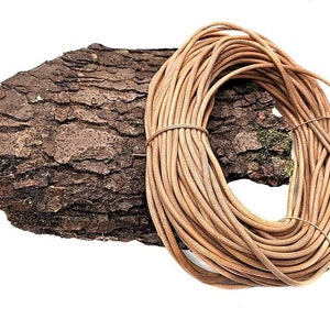 Può includere: Un rotolo di cordoncino in pelle marrone chiaro, lungo circa 3 metri, è mostrato su un pezzo di corteccia d'albero.