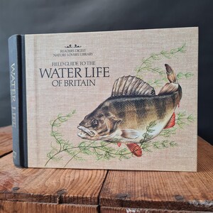 Water Life of Britain, Vintage Illustrated Nature Field Guide Book, Vintage Fish Book