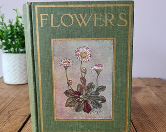 Fleurs de Janet Harvey Kelman, série montrée aux enfants, livre nature vintage, planches d'illustrations en couleur