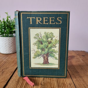 Trees von Janet Harvey Kelman mit 32 farbigen Tafeln, Vintage Naturbuch, Vintage Baumbuch Bild 1