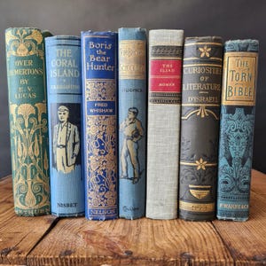 Rehome ein antikes Buch, bauen Sie Ihr Bücherregal durch Rehoming ein gut geliebtes Vintage Buch, das perfekte Geschenk für Buchliebhaber, Cottagecore Bücher