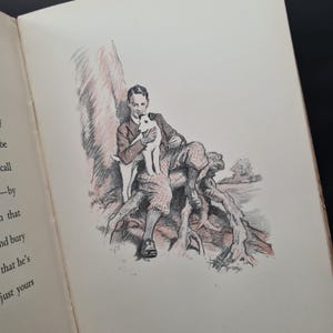 My Dog and Yours by Joe Walker, With Colour Illustrations by G. L. Stampa, Ward Lock & Co 1929