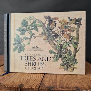 Trees and Shrubs of Britain, Vintage Illustrated Nature Field Guide Book, Vintage Tree Book