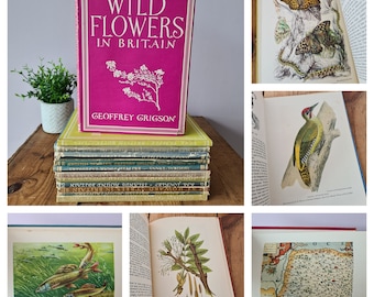 Groot-Brittannië in afbeeldingen Vintage boeken Kies uw titel, Bomen in Groot-Brittannië, Britse botanici, Vogels van Groot-Brittannië, Wilde bloemen in Groot-Brittannië enz.