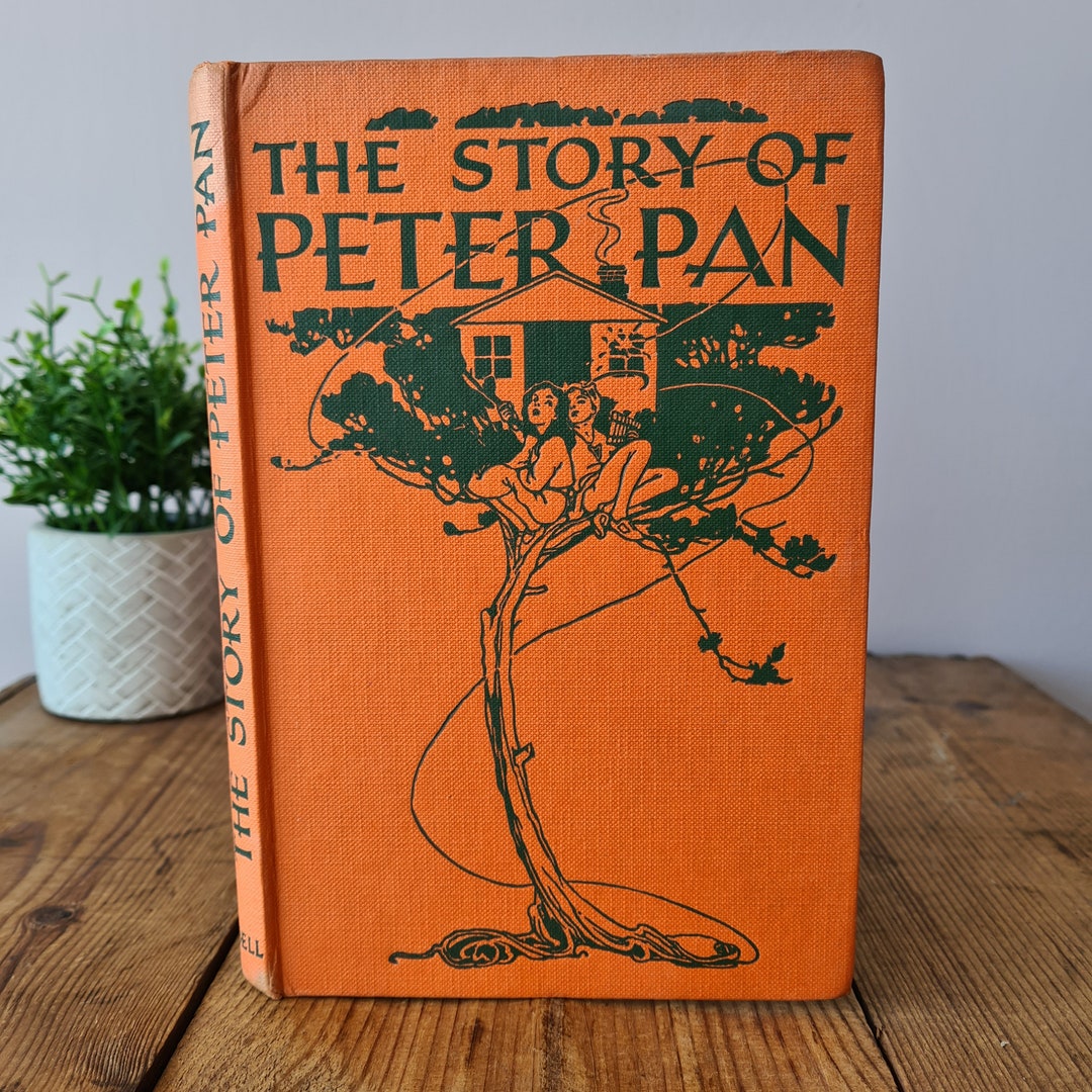 The Story of Peter Pan With Illustrations by Alice B. Etsy